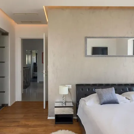Modern Aria With Pool And Jacuzzi In Villa Visnjan