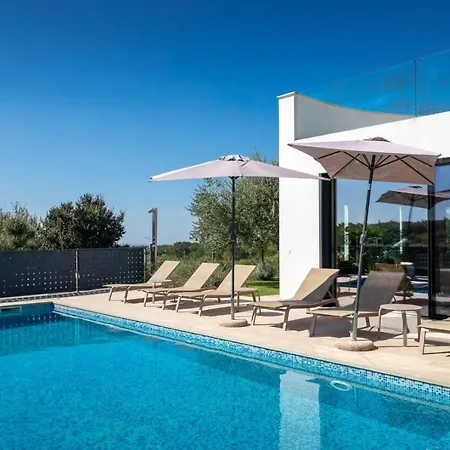 Modern Aria With Pool And Jacuzzi In Visnjan