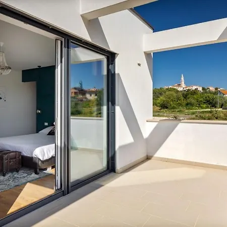 Modern Aria With Pool And Jacuzzi In Visnjan