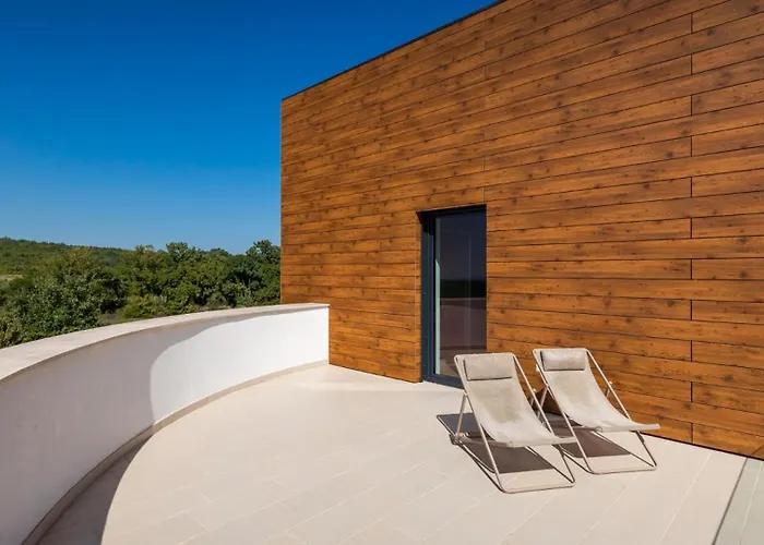 Modern Aria With Pool And Jacuzzi In Villa Višnjan