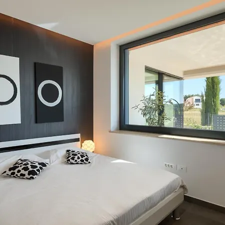 Vila Modern Aria With Pool And Jacuzzi In Visnjan