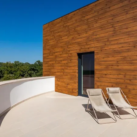 Modern Aria With Pool And Jacuzzi In Villa Višnjan